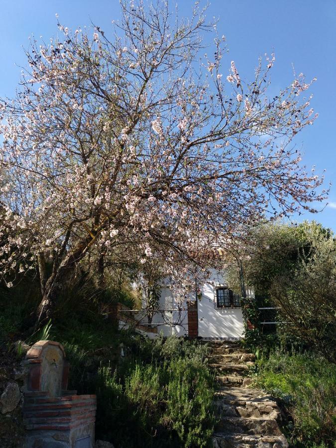 Casa La Liebrecilla ξενώνας Ríogordo Εξωτερικό φωτογραφία