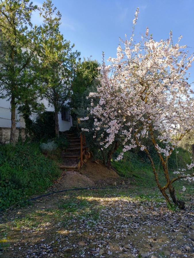Casa La Liebrecilla ξενώνας Ríogordo Εξωτερικό φωτογραφία